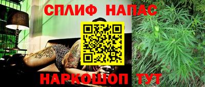стаф Гусев