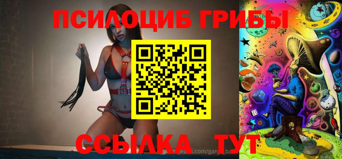 Псилоцибиновые грибы GOLDEN TEACHER Малгобек