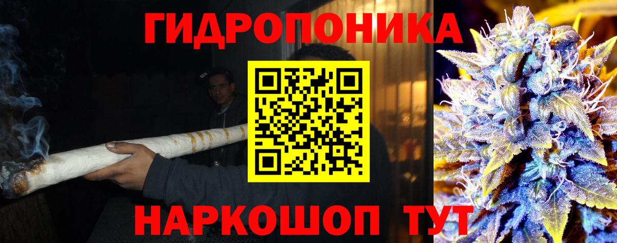 Конопля гибрид  Каннабис тримм  Вход с VPN  Конопля THC 21%  Шишки марихуана семена  Малгобек 